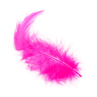 5g de plumes fuchsia