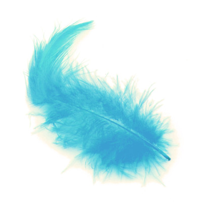 5g de plumes turquoise