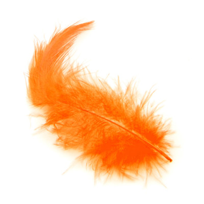 5g de plumes orange