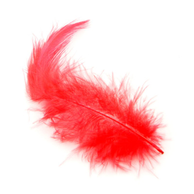 5g de plumes rouge