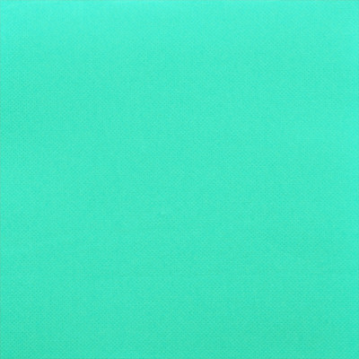 50 serviettes céli-ouate  unie turquoise