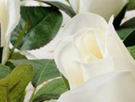 Déco mariage