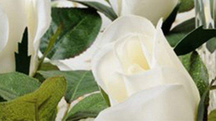 Fleurs blanches et feuillage vert dans une composition décorative