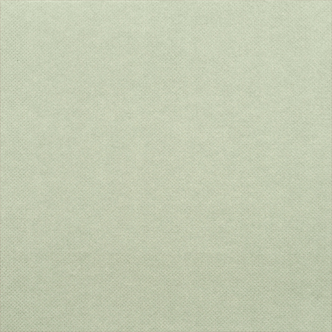 50 serviettes céli-ouate unie béton