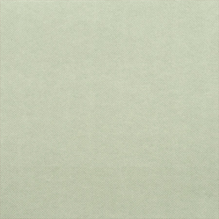 50 serviettes céli-ouate unie béton
