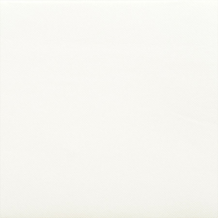 50 serviettes céli-ouate unie blanc