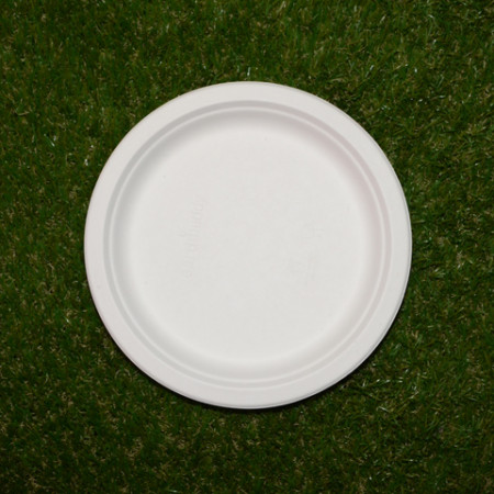 12 assiettes rondes en fibre de canne à sucre bio blanc