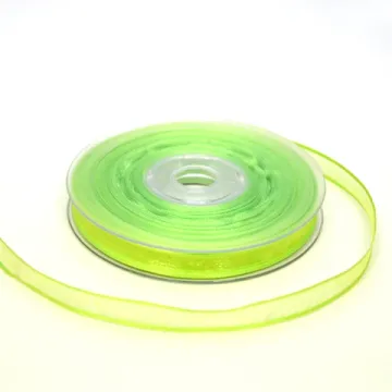 Ruban "cristal" organdi bordé satin anis
