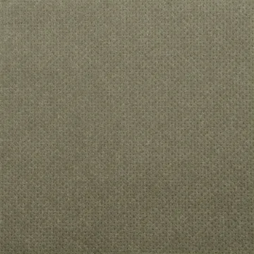 20 serviettes Céli-BIO granit