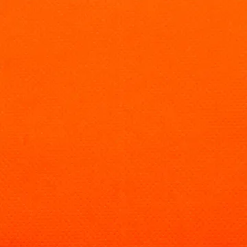 20 serviettes Céli-BIO orange