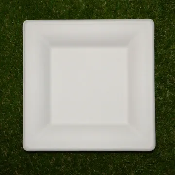 6 assiettes carrees GM en fibre de canne à sucre bio blanc
